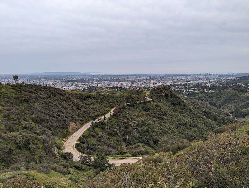 Mount Hollywood Trail