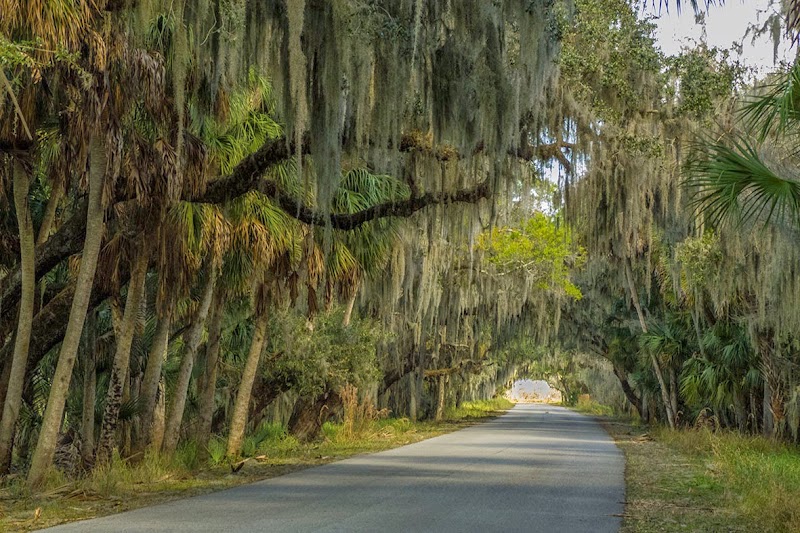 Myakka State Park Road
