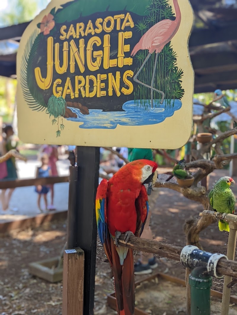 Sarasota Jungle Gardens